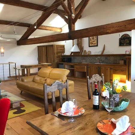 Penthouse - Loft “vinivi”